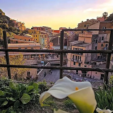 Sorriso Vernazza