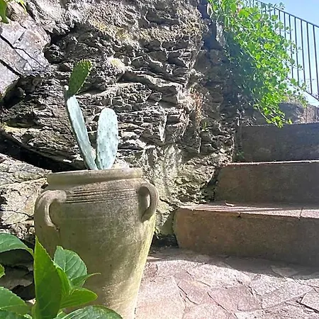 Sorriso 2* Vernazza